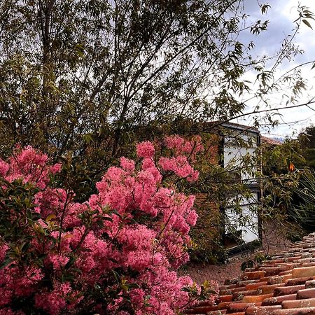 Casa Lloret Cuenca Eksteriør bilde
