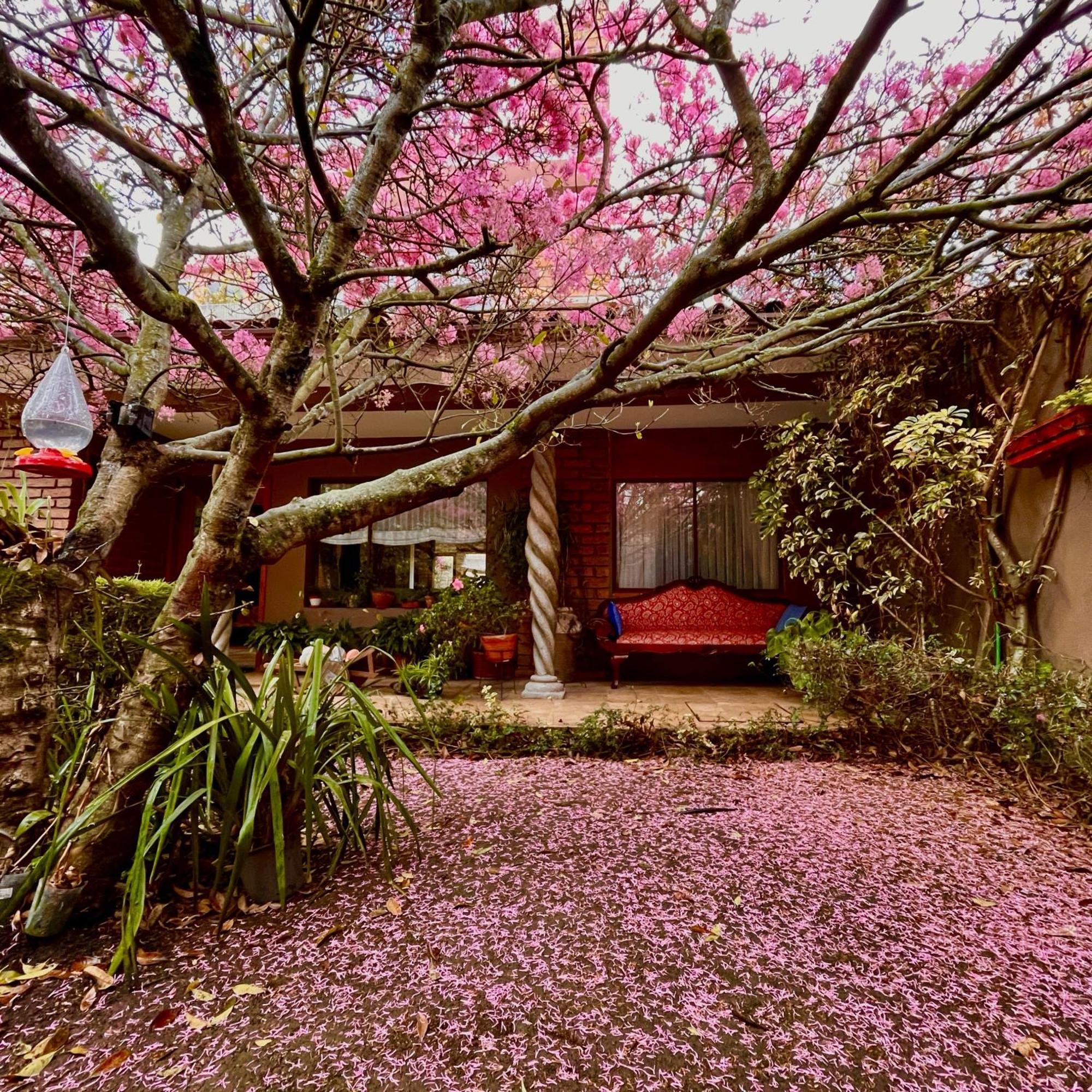 Casa Lloret Cuenca Eksteriør bilde
