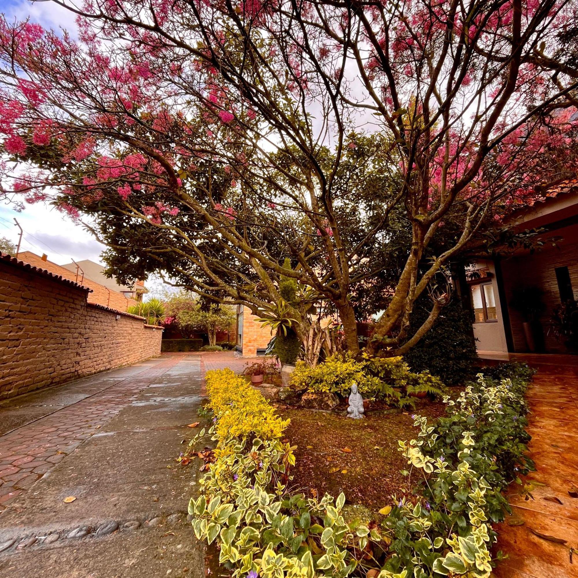 Casa Lloret Cuenca Eksteriør bilde